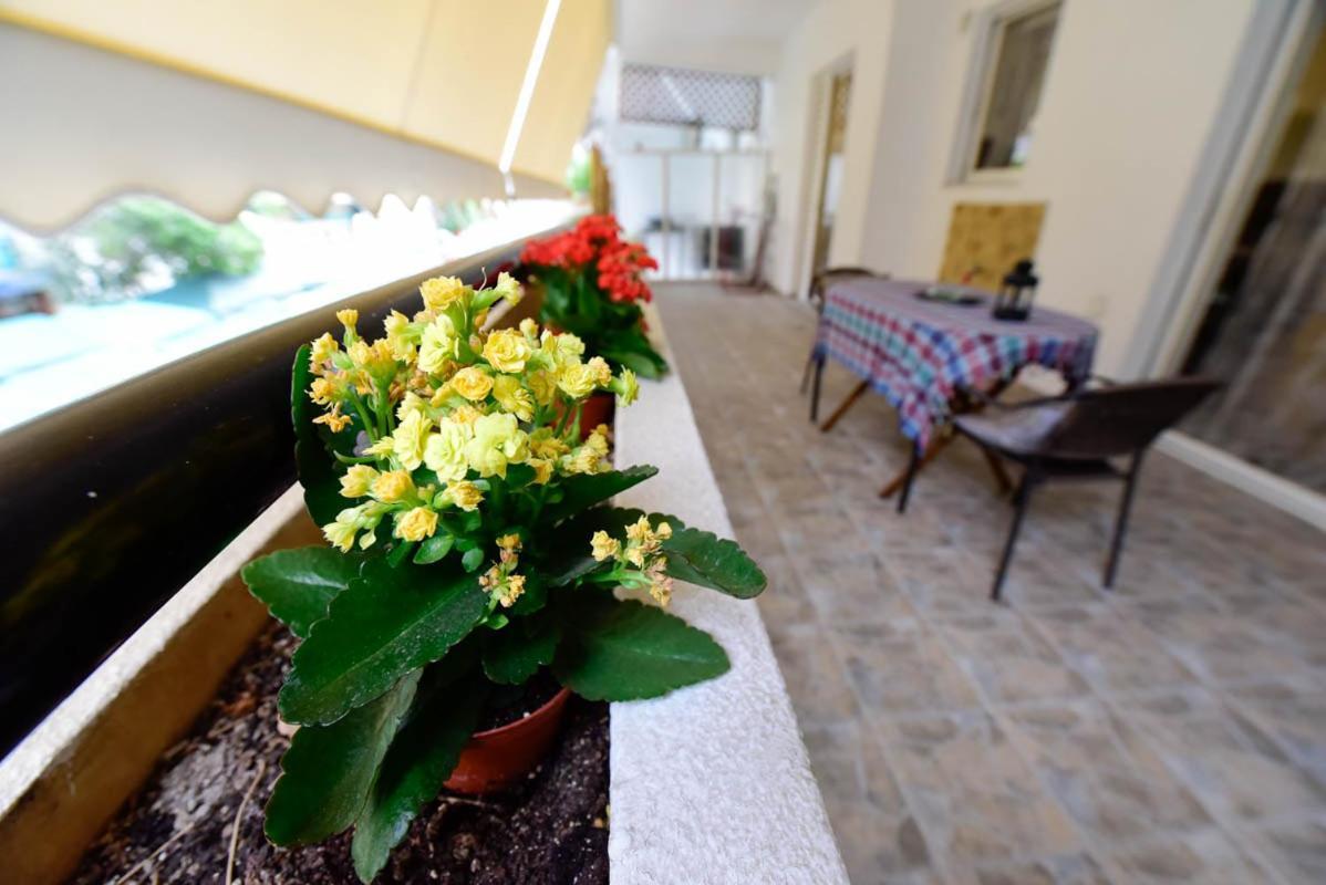 Athens Beauty 5 Minutes From Attractions Apartment Luaran gambar